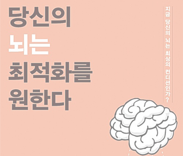 당신의 뇌는 최적화를 원한다